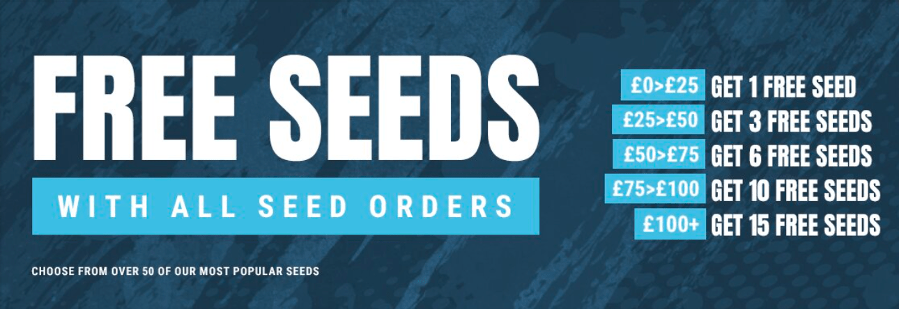 All Cannabis Seeds