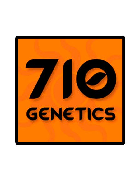 710 Genetics - Blue Chemdawg Seeds - 5