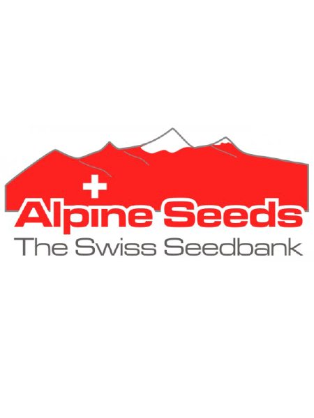 Alpine Seeds - Reg + Fem OG Kush Mix Seeds - 6