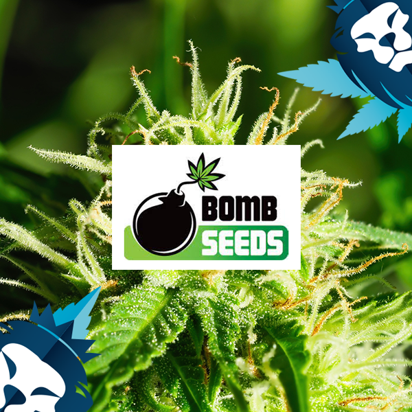 Baked Bomb seeds