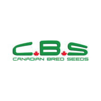 Kanada Kush Seeds