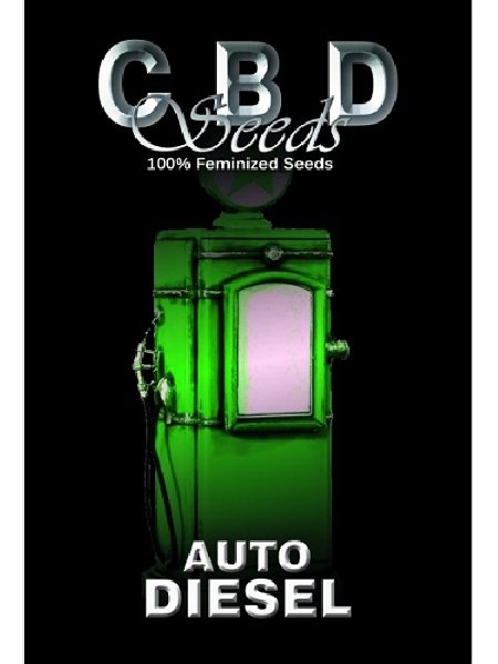 Auto Diesel Seeds