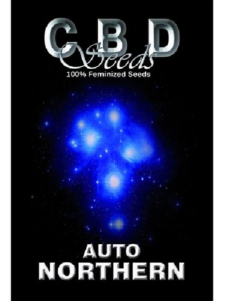 Auto Northern Seeds