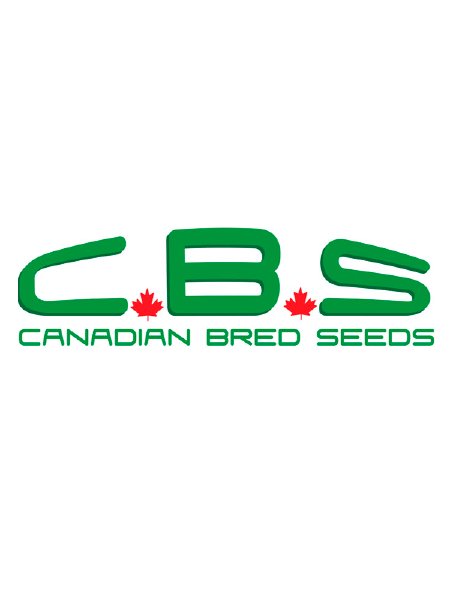 Canadian Bred Seeds - Kandian Kush Seeds
