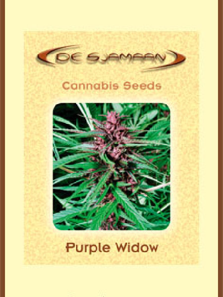 Purple Widow Seeds