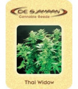 Thai Widow Seeds