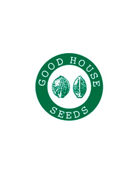 Good House Seeds - Kalimero #1 - Seeds - 10