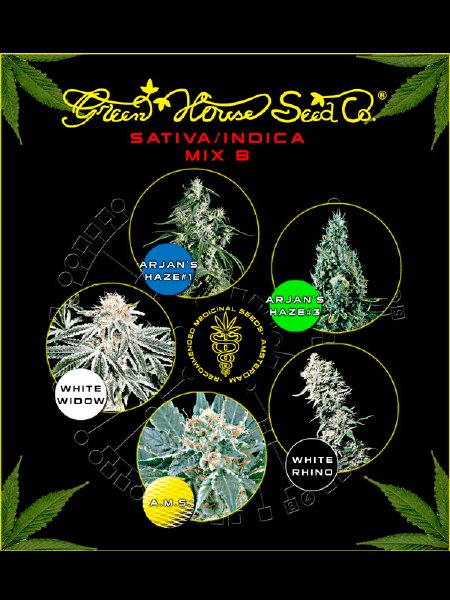 Green House Seeds - Sativa/Indica Mix B - Seeds