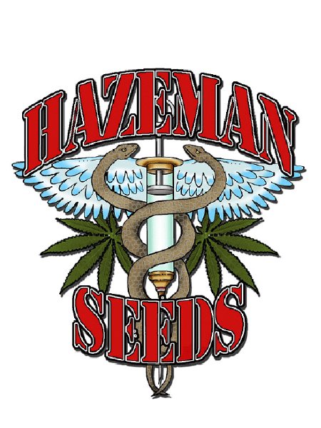 Hazeman Seeds - Monkey Balls Seeds - 12