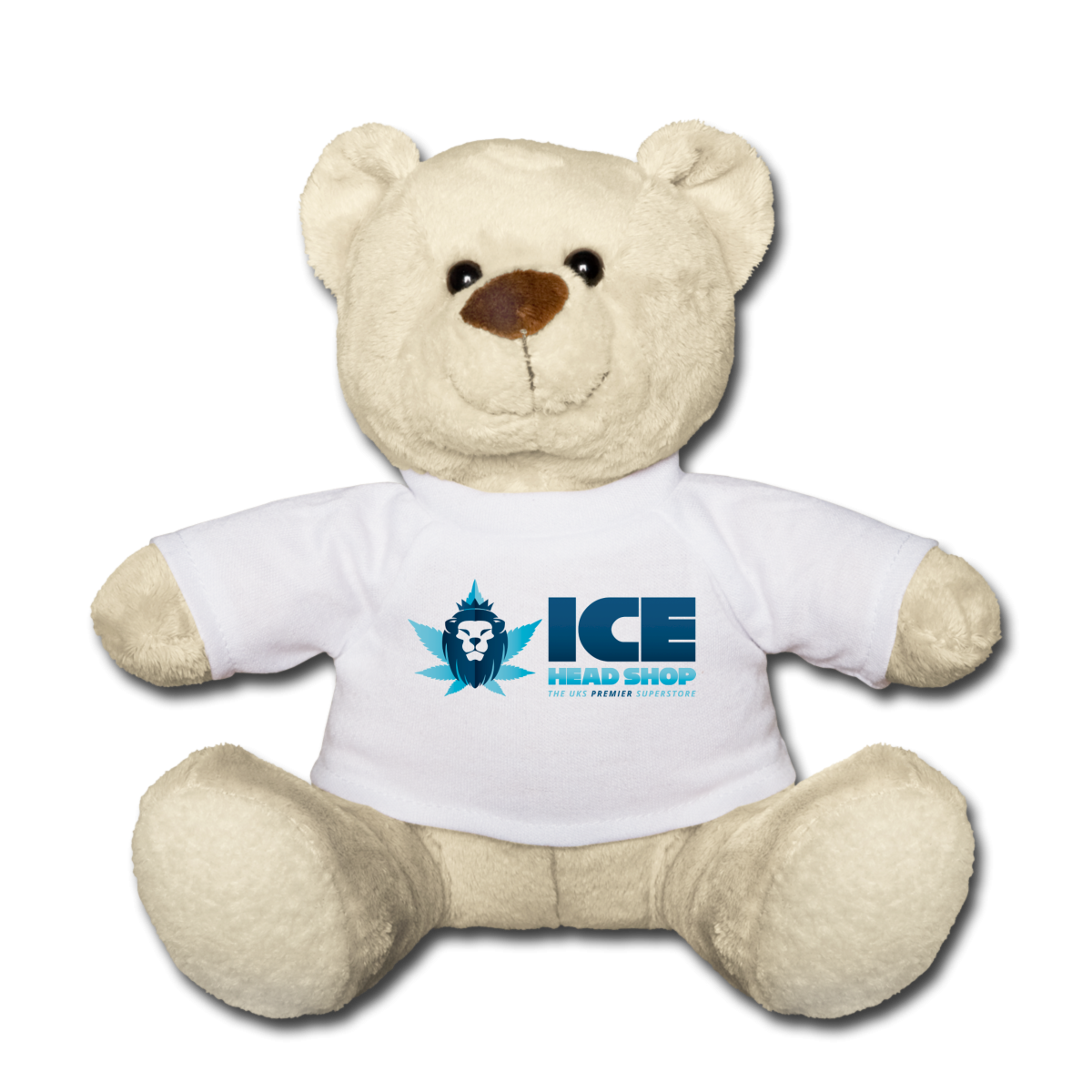 Mr ICE Bear