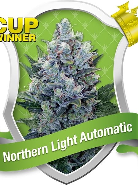 Northern Lights Auto Seeds
