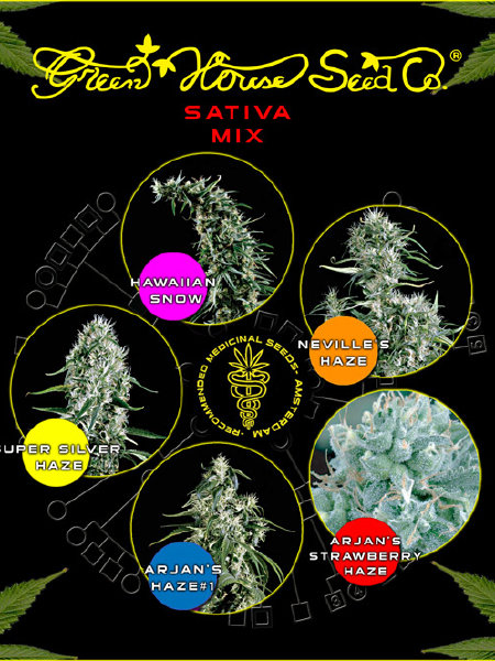 Green House Seeds - Sativa Mix Seeds