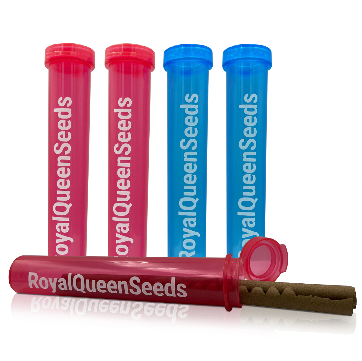 Royal Queen Seeds Cone Tube