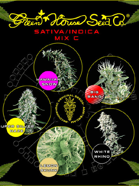 Green House Seeds - Sativa/Indica Mix C - Seeds