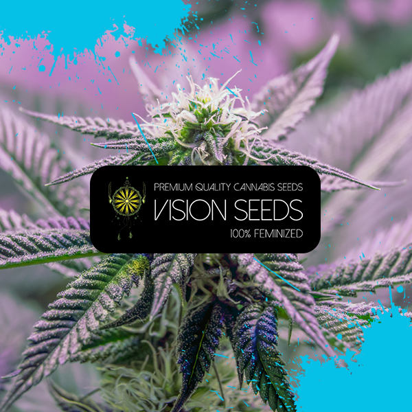 Vision Cookies seeds