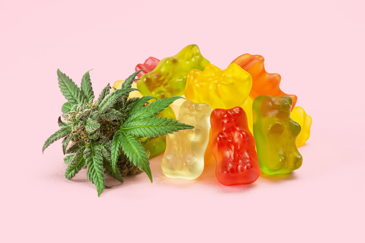 Discover The Best CBD Gummies To Try