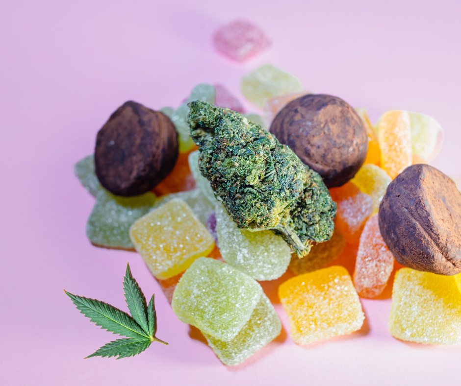 The Ultimate Beginner&#039;s Guide to CBD Gummies