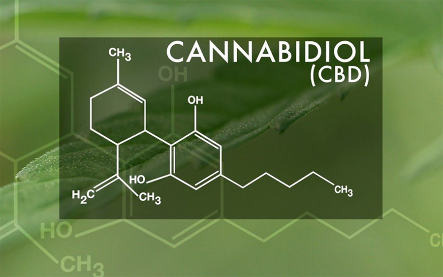CBD History: From Past to Present